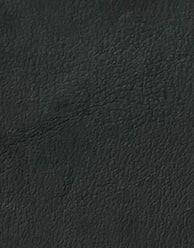 NKS-PG-F0142